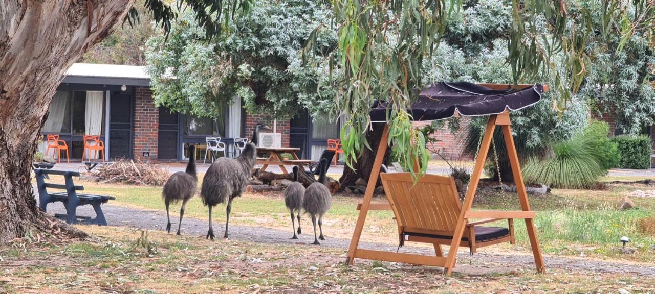 Halls Haven Holiday Units Halls Gap Exterior foto
